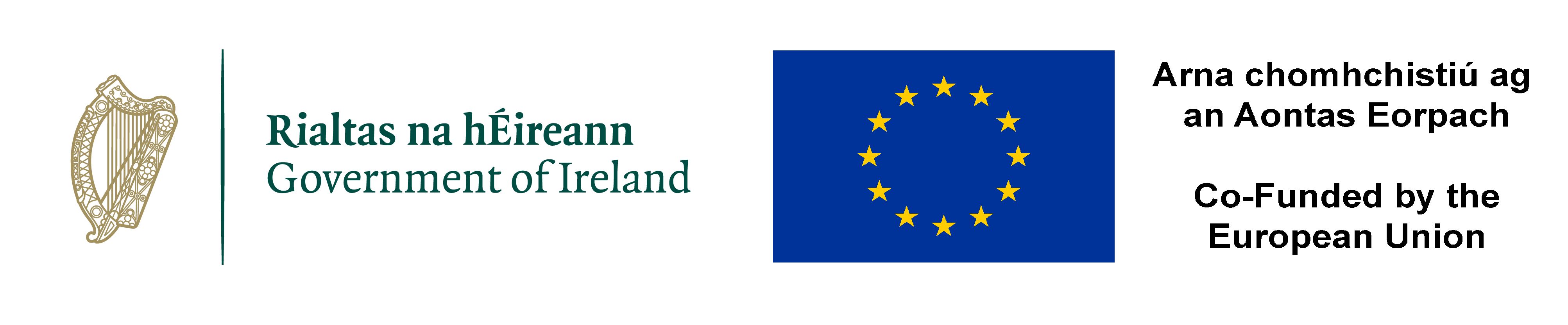 This programme is co-funded by the Irish Government and the European Social Fund